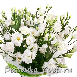Снегопад...