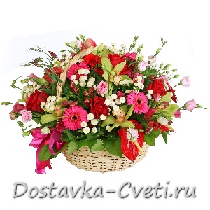 Интуишн...