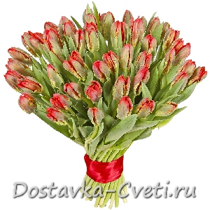 Букет из 77 тюльпанов