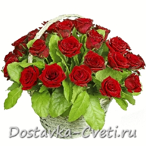 Корзина Гран При