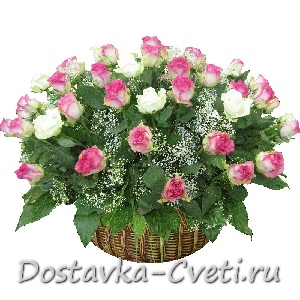 Корзина из 55 бело-розовой  розы