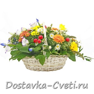 Краски лета...