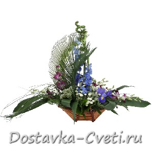 Летучий голландец