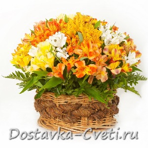 Солнце без границ