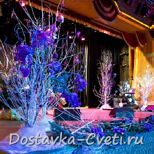 Новый год в [Golden palaсek.