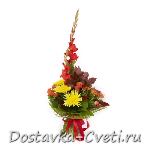 Гладиолусы купить