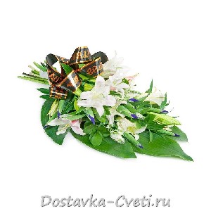 Идущая по небесам