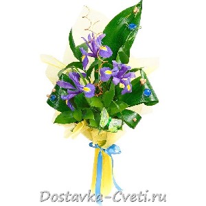 Летние сумерки