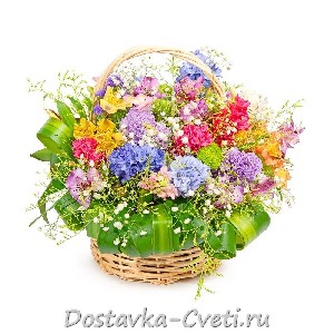 Страстоцвет