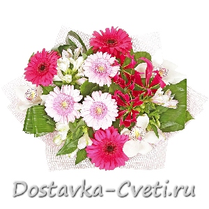 Dostavka-cveti.ru — доставка цветов по Москве | Богемия... — 3660 руб.