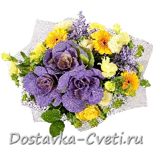 Dostavka-cveti.ru — доставка цветов по Москве | Брасикалинэ — 2300 руб.
