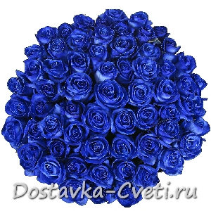 Dostavka-cveti.ru — доставка цветов по Москве | Синие розы — 11350 руб.
