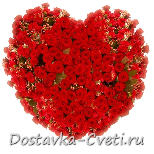 Композиция   501 роза