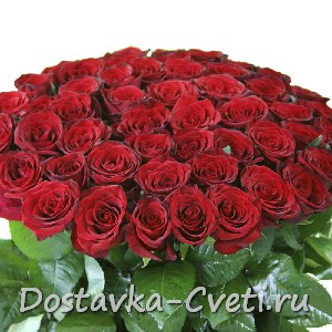 Dostavka-cveti.ru — доставка цветов по Москве | Букет из 51 красной розы — 2200 руб.