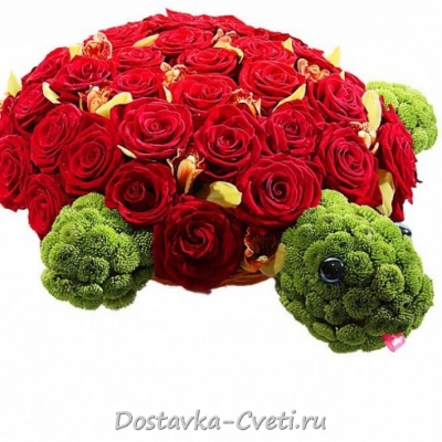 Dostavka-cveti.ru — доставка цветов по Москве | Черепашка — 9900 руб.
