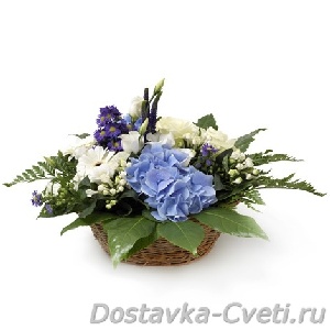 Dostavka-cveti.ru — доставка цветов по Москве | тюльпаны букет купить , купить цветы лилии , свадебные цветы купить , каталог цветов купить , лилия цветок купить 