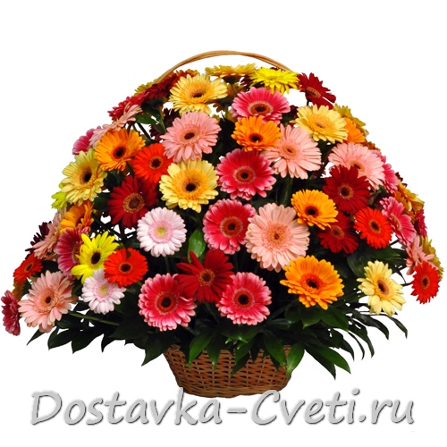 Микс гербер в корзине