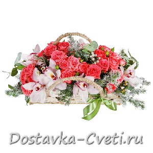 Морозко
