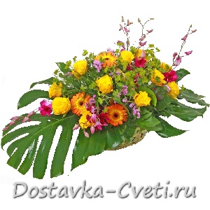 Обнимая цветы...