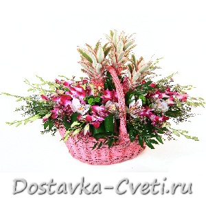 Dostavka-cveti.ru — доставка цветов по Москве | Экзотика... — 10960 руб.