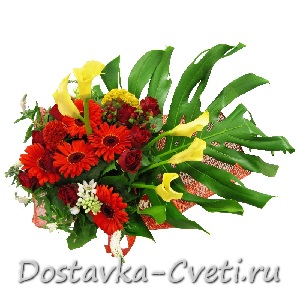 Dostavka-cveti.ru — доставка цветов по Москве | Феникс... — 4700 руб.
